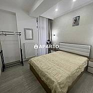 210 ლარი ღამე, ბინა დღიურად