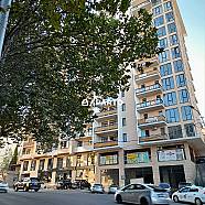 210 ლარი ღამე, ბინა დღიურად