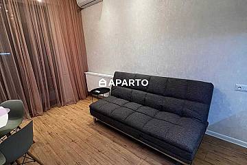 100 ლარი ღამე, ბინა დღიურად