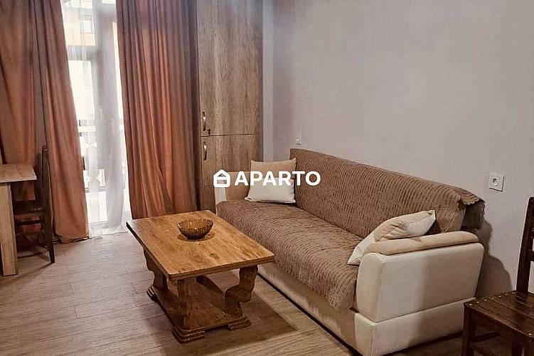 70 ლარი ღამე, ბინა დღიურად