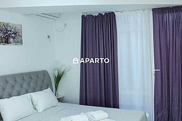 80 ლარი ღამე, ბინა დღიურად