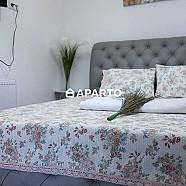 80 ლარი ღამე, ბინა დღიურად