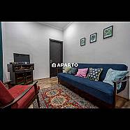 60 ლარი ღამე, ბინა დღიურად