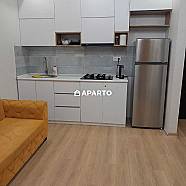 100 ლარი ღამე, ბინა დღიურად