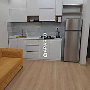 80 ლარი ღამე, ბინა დღიურად