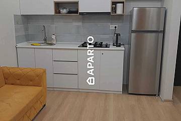 80 ლარი ღამე, ბინა დღიურად