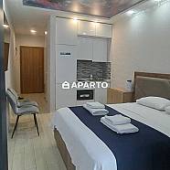 50 ლარი ღამე, ბინა დღიურად