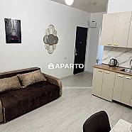 100 ლარი ღამე, ბინა დღიურად