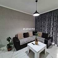 60 ლარი ღამე, ბინა დღიურად