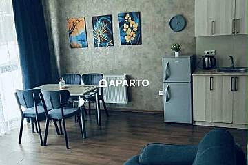 100 ლარი ღამე, ბინა დღიურად