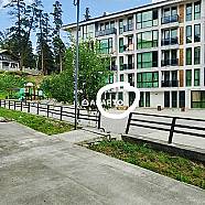 100 ლარი ღამე, ბინა დღიურად