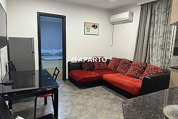 593050515 ლარი ღამე, ბინა დღიურად