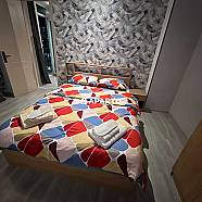 60 ლარი ღამე, ბინა დღიურად