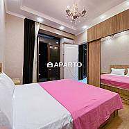 220 ლარი ღამე, ბინა დღიურად