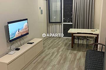 60 ლარი ღამე, ბინა დღიურად