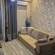 80 ლარი ღამე, ბინა დღიურად