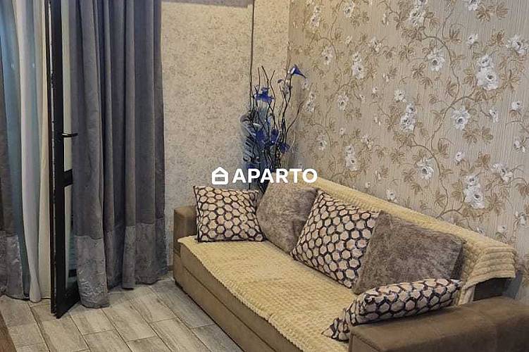 80 ლარი ღამე, ბინა დღიურად