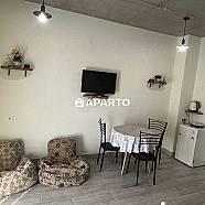 60 ლარი ღამე, ბინა დღიურად