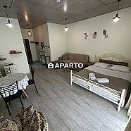 60 ლარი ღამე, ბინა დღიურად