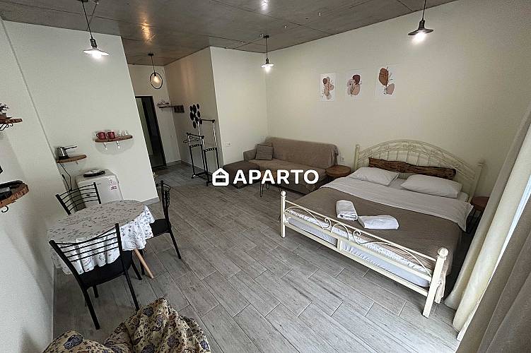 60 ლარი ღამე, ბინა დღიურად