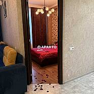 80 ლარი ღამე, ბინა დღიურად