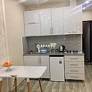 70 ლარი ღამე, ბინა დღიურად