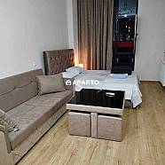 1 ლარი ღამე, ბინა დღიურად