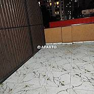 1 ლარი ღამე, ბინა დღიურად