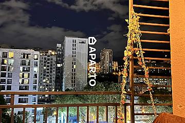 80 ლარი ღამე, ბინა დღიურად