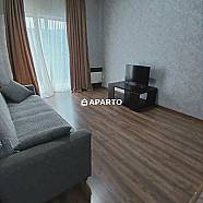 50 ლარი ღამე, ბინა დღიურად