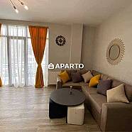 100 ლარი ღამე, ბინა დღიურად