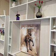 80 ლარი ღამე, ბინა დღიურად