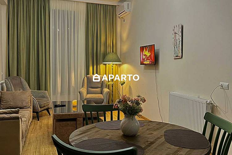 80 ლარი ღამე, ბინა დღიურად