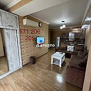 60 ლარი ღამე, ბინა დღიურად