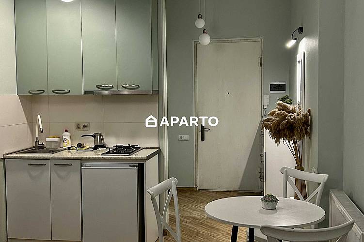 80 ლარი ღამე, ბინა დღიურად