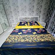 60 ლარი ღამე, ბინა დღიურად