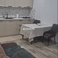 90 ლარი ღამე, ბინა დღიურად