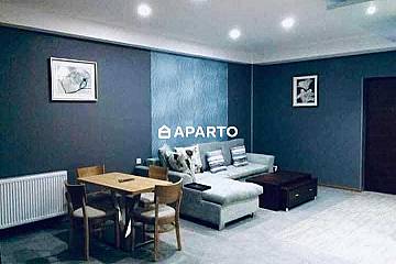 250 ლარი ღამე, ბინა დღიურად