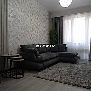 100 ლარი ღამე, ბინა დღიურად