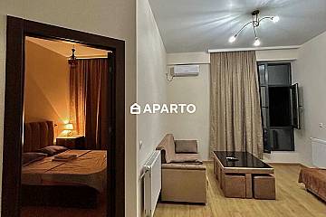 1 ლარი ღამე, ბინა დღიურად