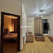 1 ლარი ღამე, ბინა დღიურად