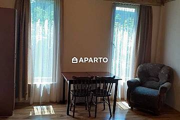 000 ლარი ღამე, ბინა დღიურად