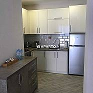 100 ლარი ღამე, ბინა დღიურად