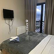 100 ლარი ღამე, ბინა დღიურად