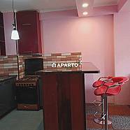 70 ლარი ღამე, ბინა დღიურად