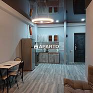 90 ლარი ღამე, ბინა დღიურად