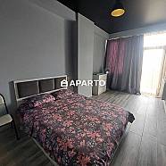 90 ლარი ღამე, ბინა დღიურად