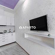 70 ლარი ღამე, ბინა დღიურად