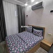 70 ლარი ღამე, ბინა დღიურად