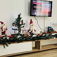 80 ლარი ღამე, ბინა დღიურად